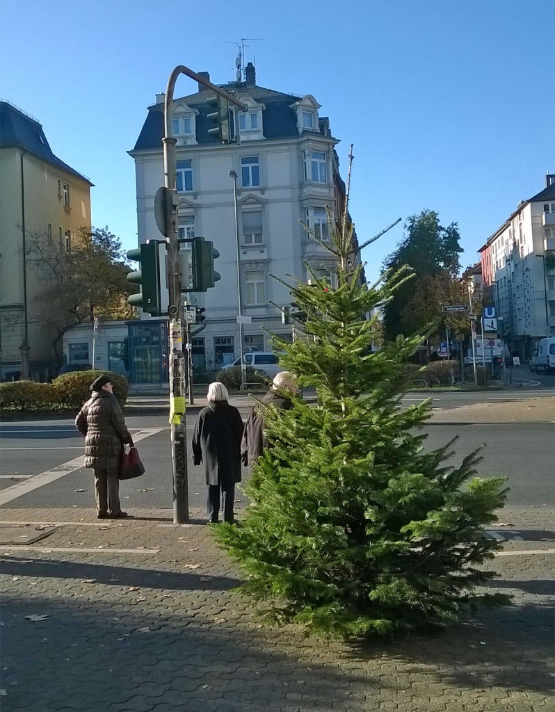 weihnachtsbaum-berger-strasse