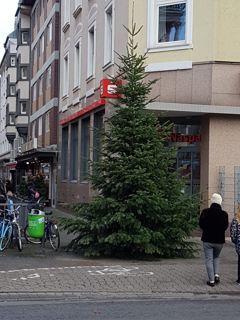 Weihnachtsbaum, Berger Straße, Kümmerin, Weihnachten, Bornheim, Nordend