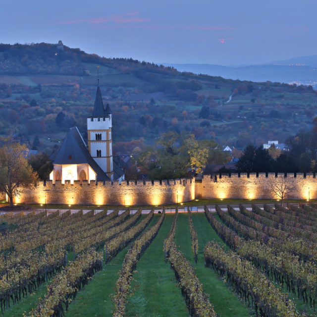Virtuelles Wein-tasting